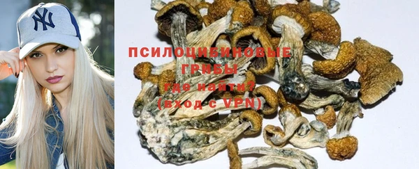 mdpv Верхнеуральск