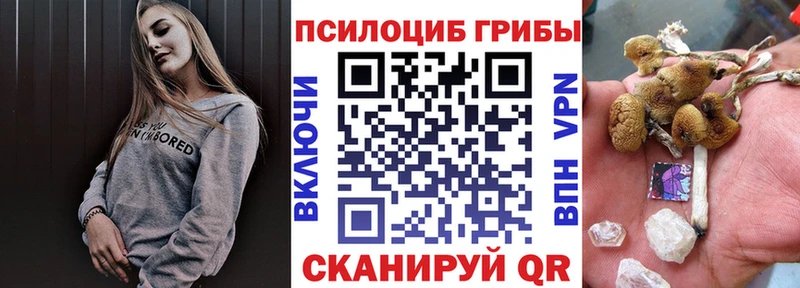 наркотики  Киренск  Псилоцибиновые грибы ЛСД 